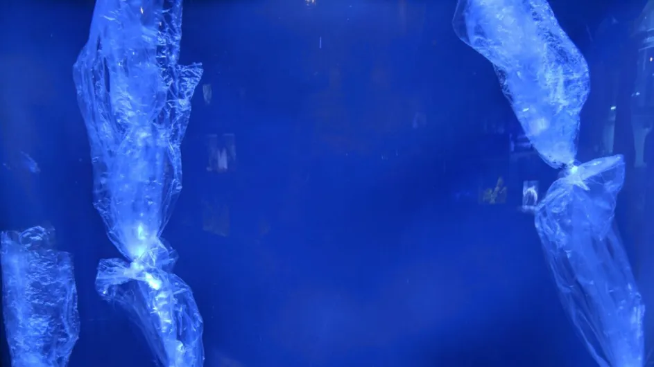 An exhibit at the Mote Marine Aquarium that displayed plastic bags in the ocean that look similar to jelly fish. Photo: U+1F360