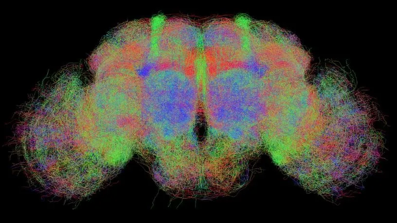 New Research Center of Artificial Intelligence Technology focuses on advancing innovation in AI technologies.
