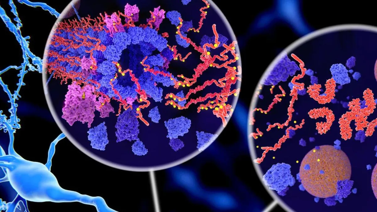 A scientific visualization of molecular structures related to Alzheimer’s research. The image features clusters of blue and purple protein-like structures with red thread-like formations inside magnified circles, set against a dark background with blue neuron-like structures.