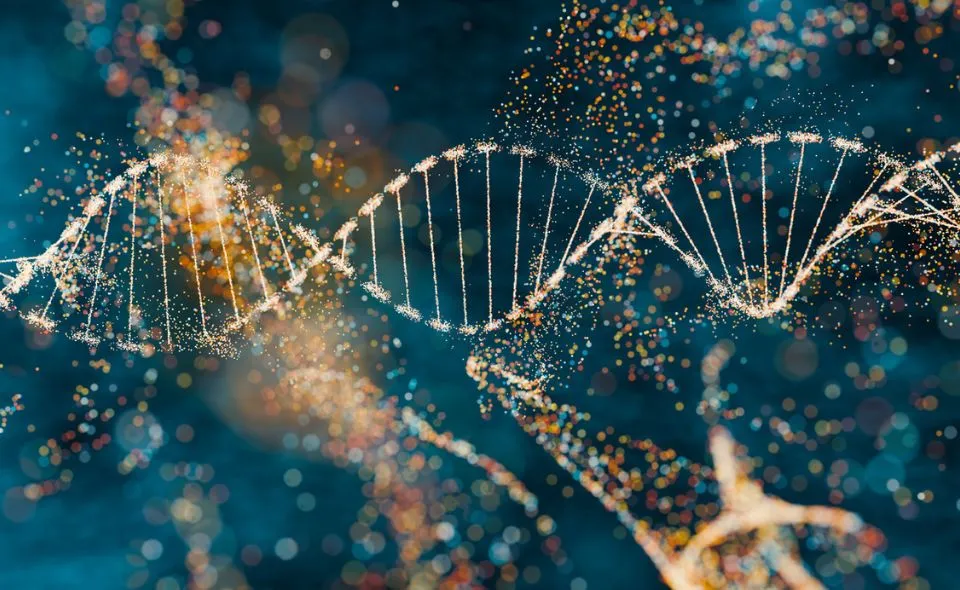 DNA 
