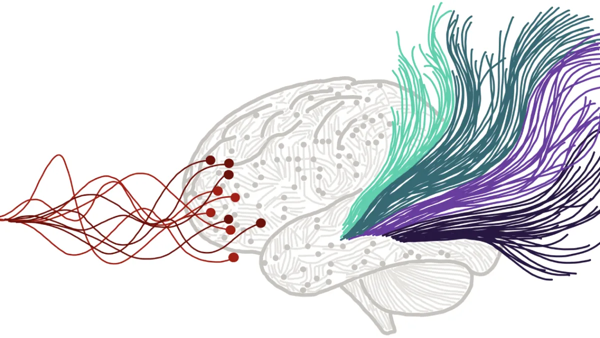 A stylized brain illustration showing neural signals transforming into structured pathways.
