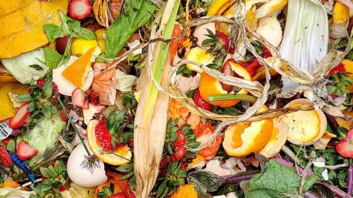 Colorful compost materials, including fruit and vegetable scraps, orange peels, eggshells, and plant trimmings, showing the variety of organic waste that can be recycled into nutrient-rich soil