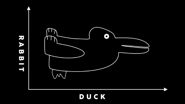 Adobe Stock, duck rabbit illusion